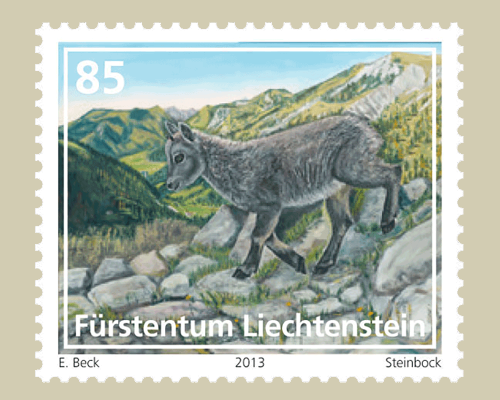 Jungtiere der Alpenregion - Steinbock CH