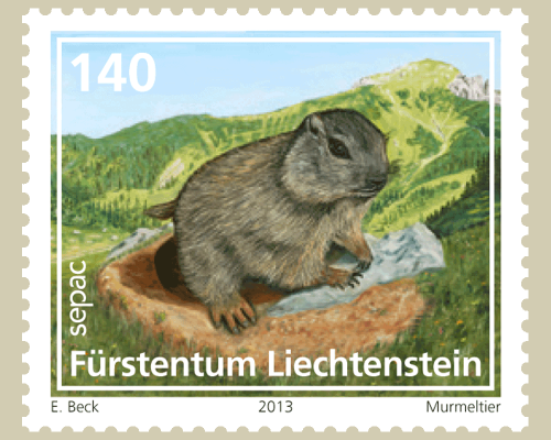 Jungtiere der Alpenregion - Murmeltier