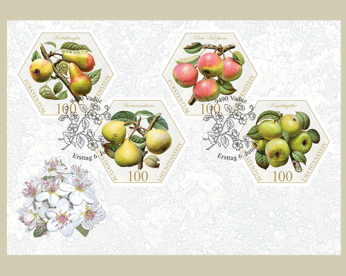 Alte Obstsorten: Birnen