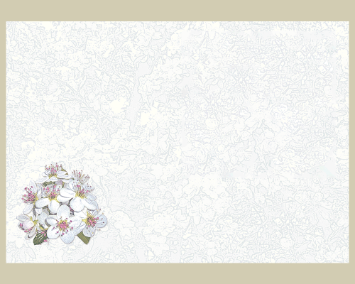 Alte Obstsorten: Birnen