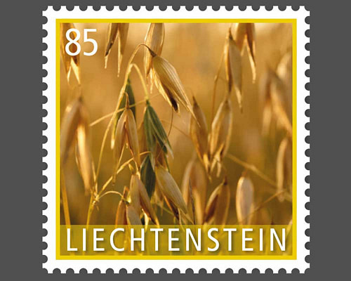 Kulturpflanzen - Getreide