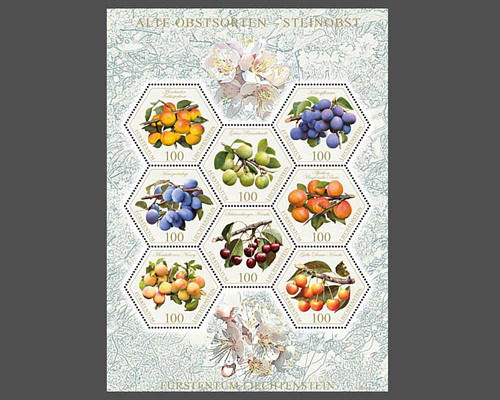 Alte Obstsorten: Steinobst