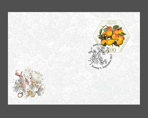 Alte Obstsorten: Steinobst