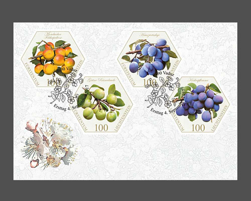 Alte Obstsorten: Steinobst