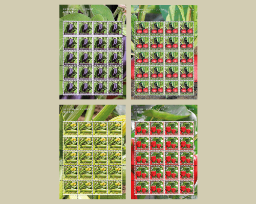 Kulturpflanzen - Gemüse