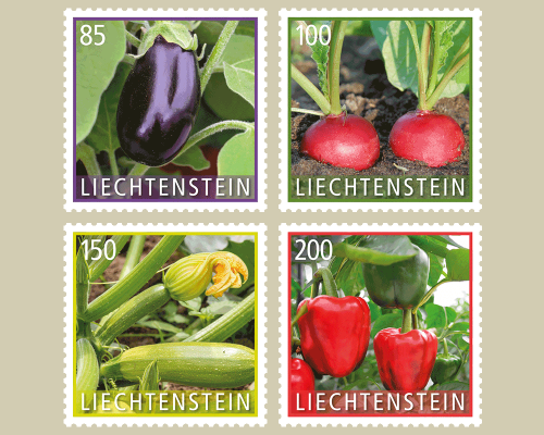 Kulturpflanzen - Gemüse