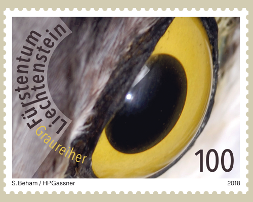 Künstlerische Fotografie: Vogelaugen