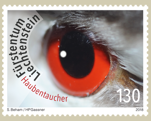 Künstlerische Fotografie: Vogelaugen