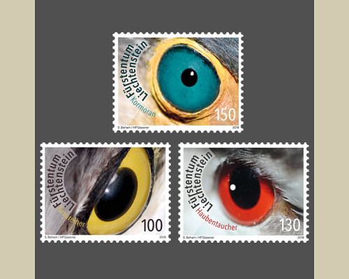 Künstlerische Fotografie: Vogelaugen