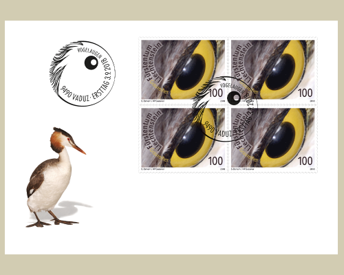 Künstlerische Fotografie: Vogelaugen