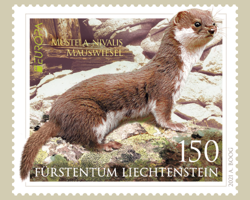 Europa – Gefährdete Wildtiere