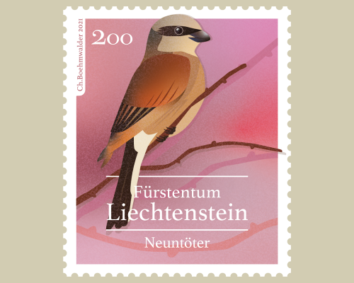 Heimische Singvögel