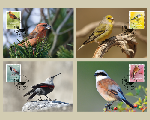 Heimische Singvögel