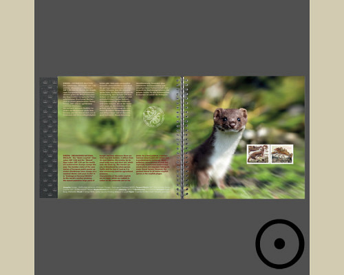 Jahresalbum 2021 gestempelt o