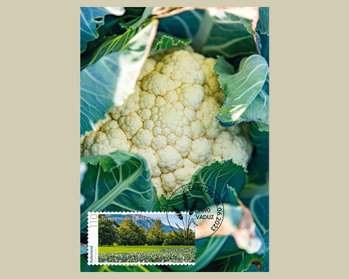 Panorama - Kulturland