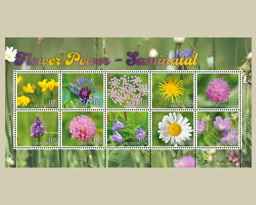 Flower Power - Saminatal