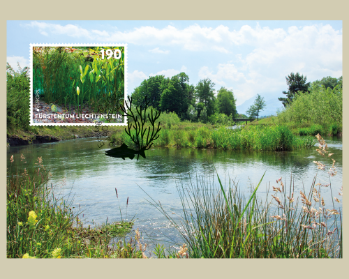 EUROPA - Unterwasserfauna und -flora