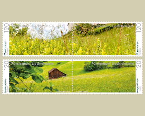 Panorama - Magerwiesen