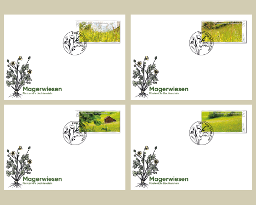 Panorama - Natural Meadows