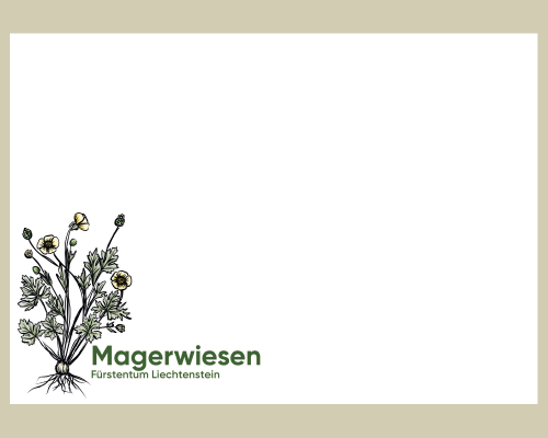 Panorama - Natural Meadows