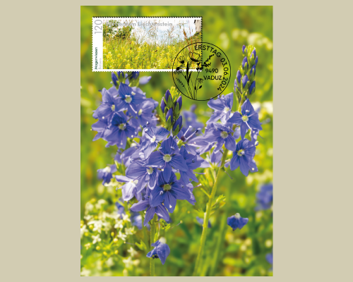 Panorama - Magerwiesen