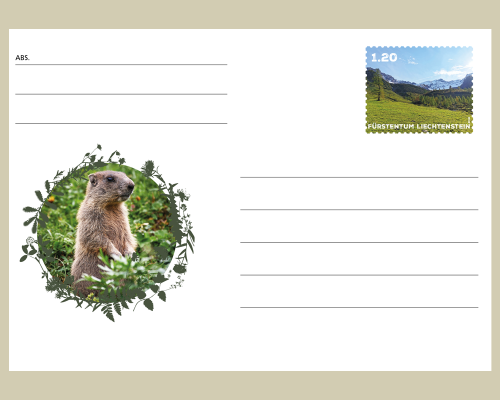 Postkarte: Wildtiere in Liechtenstein
