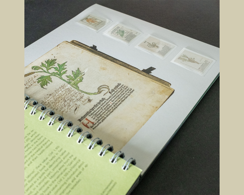 Jahresalbum 2024 gestempelt o