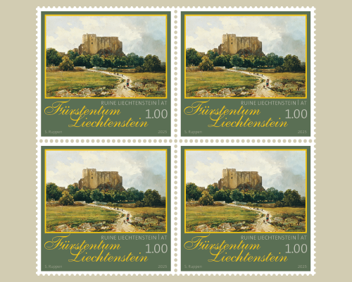 Fürstliche Schätze-Schlösser und Burgen