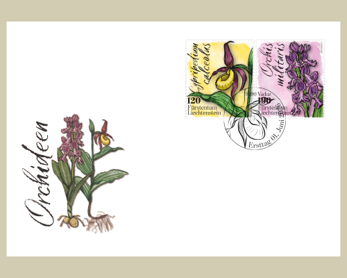 Orchids