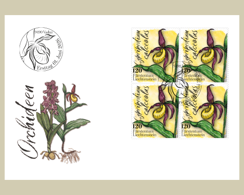 Orchids