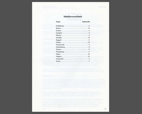 Heft 10 / Schriftenreihe Ring der Liecht